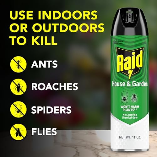 Raid House and Garden Insect Killer Spray, for Indoor and Outdoor Use, Won't Harm Plants, Insect Spray, Orange Breeze Scent, 11 oz
