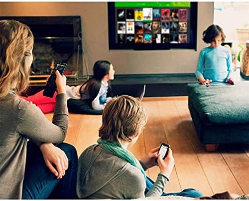HDHomeRun Flex 4K ATSC 3.0 NextGen TV: 2/4 Tuners HDFX-4K