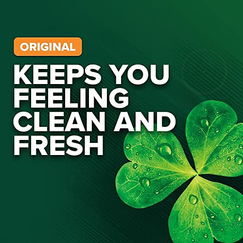 Irish Spring bar Soap (20/4 Oz Net Wt Oz), Original, 74 Ounce (Pack of 1)