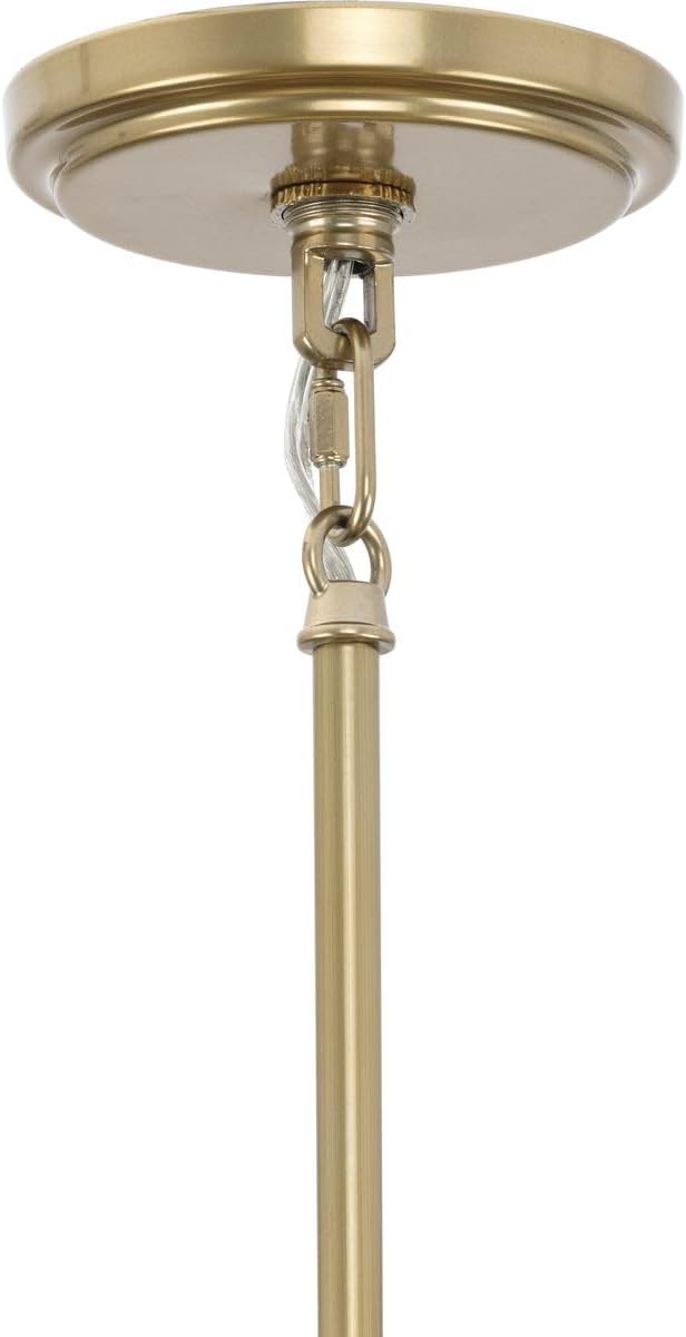 Progress Lighting Lusail 48 in. 13-Light Modern Organic Soft Gold Chandelier with Foundry Gold