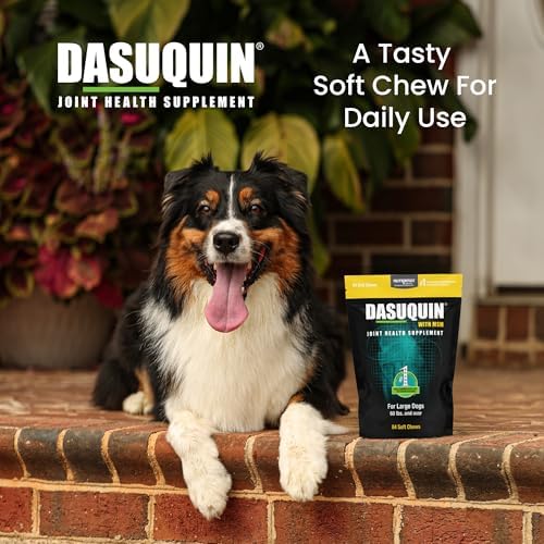 Nutramax Dasuquin MSM Joint Supplement for Large Dogs, Soft Chews, 84ct | Glucosamine and Chondroitin, ASU, MSM, Supports Healthy Joints, For Dogs Over 60 lbs, All Ages, Soft Chews