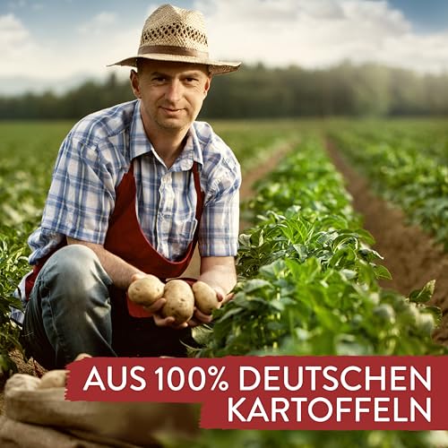 Pfanni Bratkartoffeln 400g/14.1oz Instant Fried Potatoes