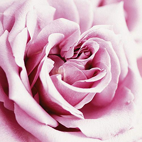 Paul Sebastian Casual Women's Perfume, Day or Night Scent, Eau de Parfum, 4.0 fl oz | Women's eau de parfum. Perfume with notes of lily of the valley