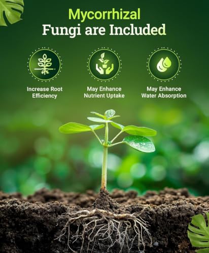 FoxFarm Happy Frog Steamed Bone Meal Fertilizer - Fine-Screened Phosphorus Fertilizer with Calcium & Mycorrhizal Fungi