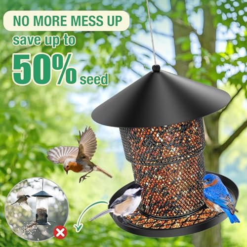 Bird Feeder for Outdoor Hanging