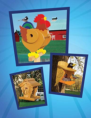 Wild & Wacky Birdhouses and Feeders: 18 Creative and Colorful Projects That Add Fun to Your Backyard (Fox Chapel Publishing) Bear, Rooster