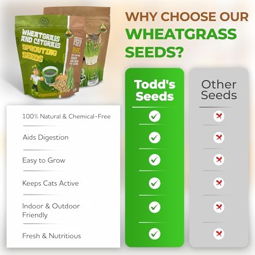 Todd's Seeds Hard Red Wheatgrass Seeds, 5 lb Bulk – Non-GMO | Hard Red Winter Wheat variety. Bulk 5 lb supply. High germination rate. Grow in soil or hydroponics. USA packed.
