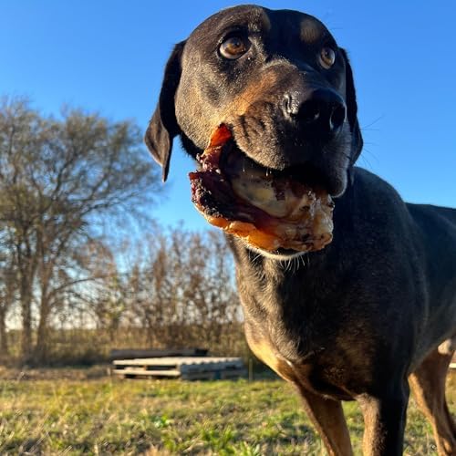 JACK'S PREMIUM Knee Cap Dog Bone - Made in USA All Natural Beef Chew - Long Lasting Meaty Bones for Large Dogs