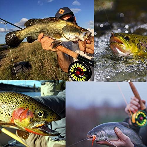 M MAXIMUMCATCH Maxcatch Fluorocarbon Fly Fishing Tippet Material Leader Line –Virtually Invisible – 55yards 0X-6X (Made in Japan)