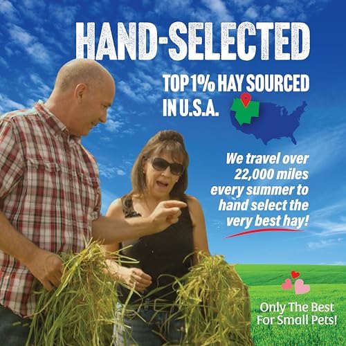 Small Pet Select Oat Hay for Rabbits, Guinea Pigs & Chinchillas, 10 lb | Natural Grass Hay with Seed Heads, High Fiber Forage, For Bunnies, Hamsters, Chinchillas & Other Small Pets