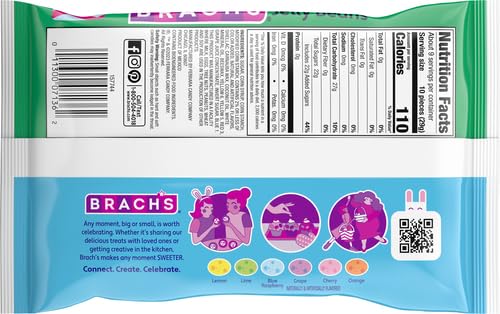 Brach's Speckled Jelly Bird Eggs 9-oz. Bag