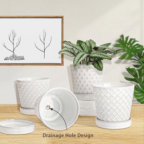 EFISPSS Ceramic Plant Pots, 5 Inch Planters with Drainage Holes and Ceramic Tray, Relief Design Flower Planter