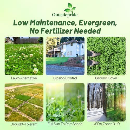 Outsidepride Perennial White Dutch Clover Seed - 5 lbs. Nitrocoated, Inoculated for Lawn Alternative, Erosion Control, Food Plots, Ground Cover, & Pasture Mixtures in USDA Zones 3-10