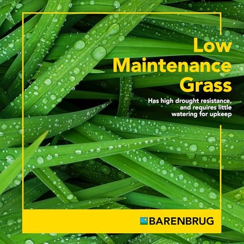 Barenbrug Wonderlawn Winter Grass Seed Mix for Lawn Care and Landscaping, 5 lbs. Bag