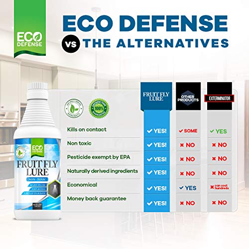 Eco Defense Fruit Fly Killer - Natural Fruit Fly Trap & Drain Fly Killer Treatment for Indoor Fly Control in Kitchen, Restaurants, and More, 16 Oz