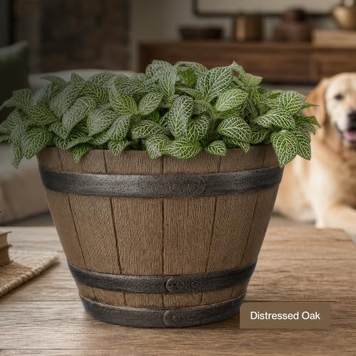 20.5" Jameson Whiskey Barrel with Drainage in Kentucky Walnut