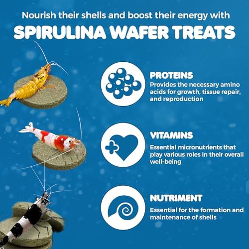 SunGrow Spirulina Protein Wafers for Shrimps, 1.75 oz Nutritional Snack, High-Protein Food for Freshwater Shrimp, Ideal for Betta Fish Supplies, Aquarium Salt Setups, Nano Tanks & Bottom Feeders