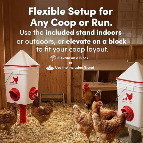 RentACoop 25lb Chicken Feeder with 4 Large Ports - Center Placement