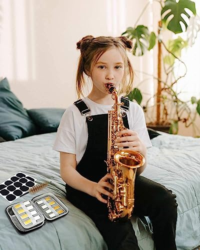 LMS Alto Saxophone Mouthpiece Reeds Kit with EVA Storage Case for Beginners | Alto Sax Mouth Piece Literature Reeds Set With Storage Bag