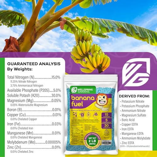 Wellspring Gardens Banana Fuel Fertilizer - Water-Soluble 15-5-30 Blend - Fertilizer for Banana Trees & Plants - Grow Healthy Plants (2 Pounds)