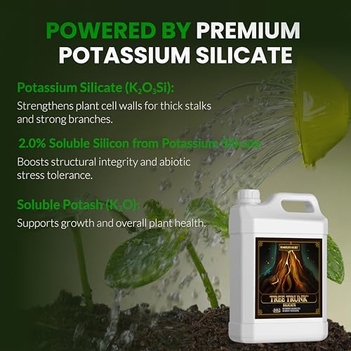 Humboldts Secret Tree Trunk | Potassium Silicate Additive | Liquid Fertilizer for Thicker Stalks, Stress Resistance & Branch Development | Indoor & Outdoor Plant Food, Hydroponic Nutrients, 32 Ounce