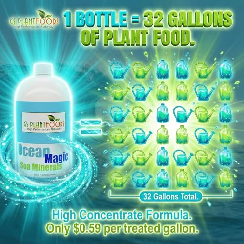 Ocean Magic Sea Mineral Fertilizer by GS Plant Foods(1 Gallon) - Soil Mineral Health Improvement Liquid Concentrate - Sea Minerals for Lawn and Turf, Gardens & House Plants
