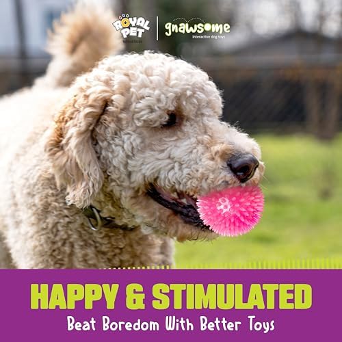 Gnawsome™ 3.5” Spiky Squeak & Light Ball Dog Toy - Medium, Cleans Teeth and Promotes Good Dental and Gum Health for Your Pet, Colors will vary