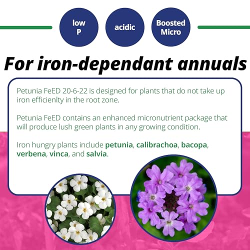 Jack's Classic 20-6-22 Petunia Feed Water-Soluble Fertilizer, 4lb | Powdered, Targeted Micronutrient Package, Promotes Lush Green Iron-Loving Plants and Annuals, Liquid Root & Foliage Feeding