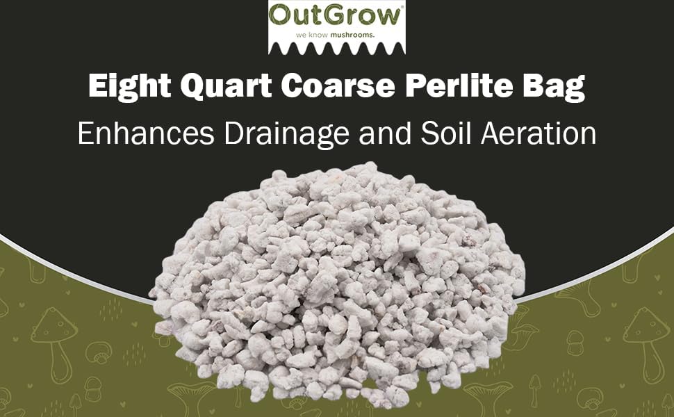 8 Quart Bag of Horticultural Grade Perlite
