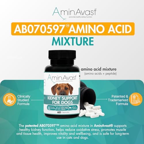 AminAvast Kidney Support for Dogs Over 20lb, 1000mg, 60 Sprinkle Capsules | Feed Directly or Open Capsules & Mix With Food, Flavorless, Easy Daily Use