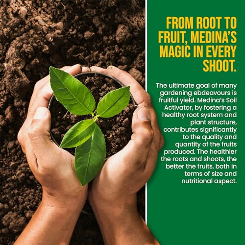 Medina Liquid Soil Activator, Liquid Fertilizer, 1 Quart | Indoor & Outdoor Plants, Promotes Root Growth, Balances Soil Compaction