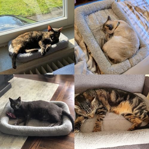 LESYPET Cat Bed for Indoor Cats, Soft Cat Cushion with Cat Pillow Around, Rectangle Kitten Pad Small Bed for Window Sill, 15'' x 10''