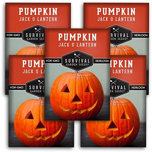 Jack O' Lantern Pumpkin Seeds for Planting - 1 Pack