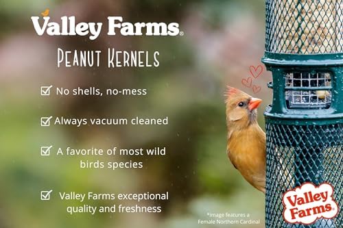 Valley Farms Whole Peanut Kernels (4 LB) Wild Bird Food for Outside Feeders, Peanuts for Birds, Chickadee Bird Seed for Outside Feeders