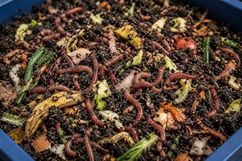 The Original VermiHut® Classic Model 5-Tray Worm Composter Bin – Indoor & Outdoor Vermicomposting System
