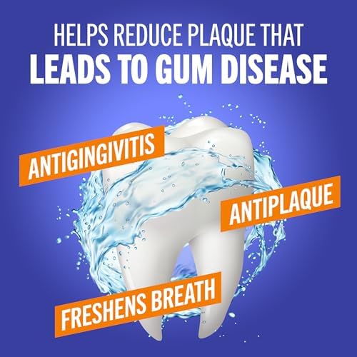 TheraBreath Healthy Gums Oral Rinse, Antigingivitis, Clean Mint Flavor, Dentist Formulated to Help Prevent Gingivitis and Support Gum Health, Alcohol Free, 16 Fl Oz (Pack of 2)