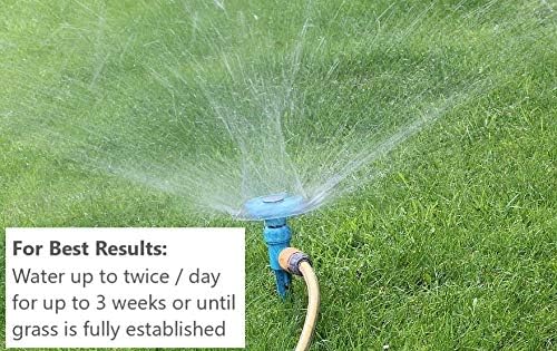 Jacklin Seed - Blue Genes - 100% Kentucky Bluegrass | Certified Grass Seed (10 lbs (4,000 sq ft))