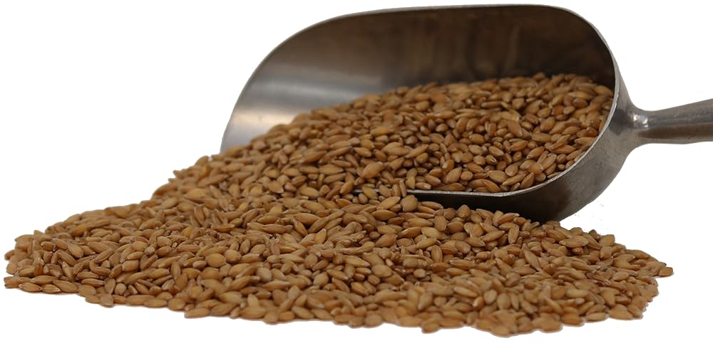 Organic Einkorn Wheat Berries - 3lbs