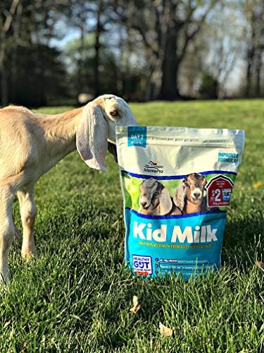 Manna Pro Goat Kid Milk Replacer with Opti-Gut, 4 lb Bag | High-Protein Milk Replacer, Opti-Gut Digestive Support, Easy-to-Mix Formula, Supports Healthy Kid Goat Growth