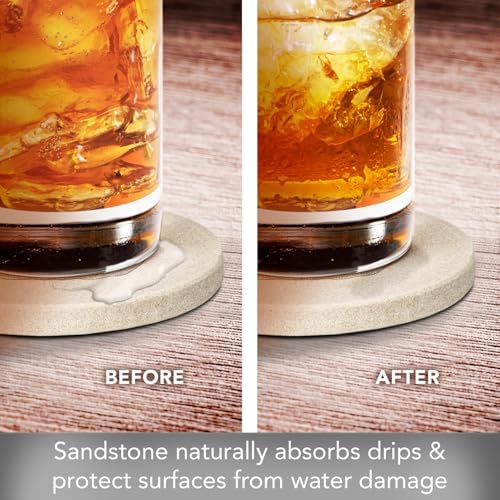 Thirstystone Sand Dollar Round Stone Coaster 4 Pack | Manufactured in the USA Decorative, Easily Wipes Clean