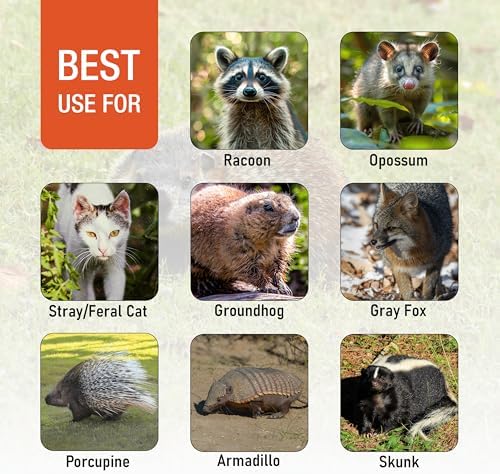 HOMESTEAD 42'' Heavy Duty Live Animal Trap - Professional Quick Set Trigger, Galvanized Steel Cage, Camouflage Finish, Rust Proof Mesh