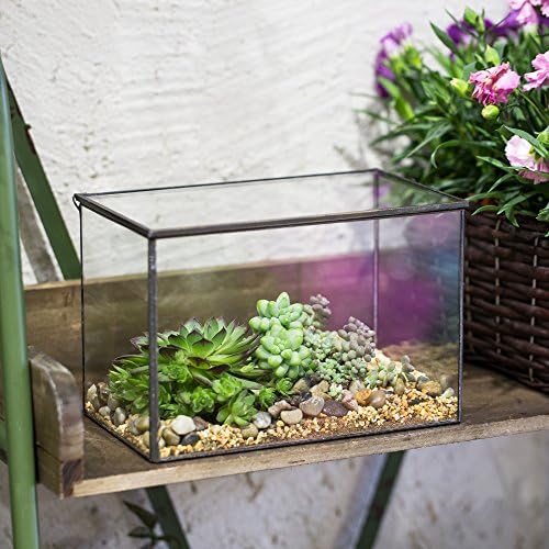 NCYP 6.7 x 4 x 4.8 Inch Small Glass Terrarium Planter with Lid, Clear Glass Box Container for Succulents, Air Plant, Moss, Ferns, Cactus