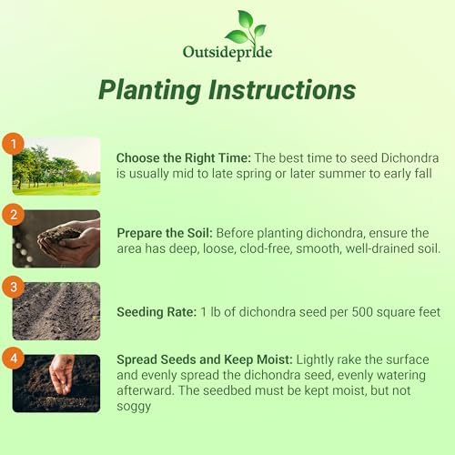 Outsidepride Perennial Dichondra Repens Seeds - 2 lbs Dense Green, Low-Maintenance Ground Cover Seeds for Planting, Ideal Lawn Alternative in Sun or Shady Areas & Erosion Control in USDA Zones 8-11