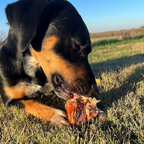 JACK'S PREMIUM Knee Cap Dog Bone - Made in USA All Natural Beef Chew - Long Lasting Meaty Bones for Large Dogs