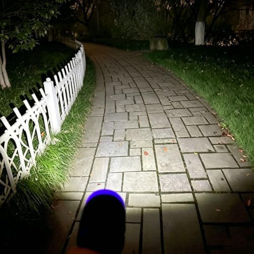 10-Pack Mini LED Flashlight Set | Super Bright Small Flashlights, 30 AAA Batteries are Pre-Installed, Ideal for Teaching, Camping and Emergency