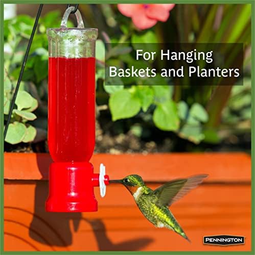 Pennington Planter Small Hummingbird Feeder, 2.3 Ounce Capacity | Hanging hummingbird feeder, dishwasher safe, disassembles fully
