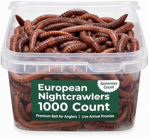 Live PANFISH European Nightcrawlers Composting Worms Fishing Worms