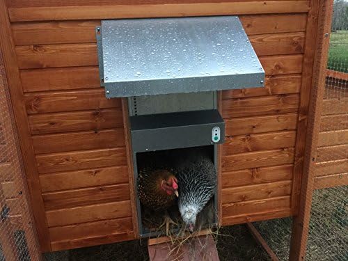 Automatic Chicken Coop Door Extra Large 13 x 10.5 Inch Opening, Heavy Duty Galvanized Steel, Predator Resistant, ADOR1 Made in USA