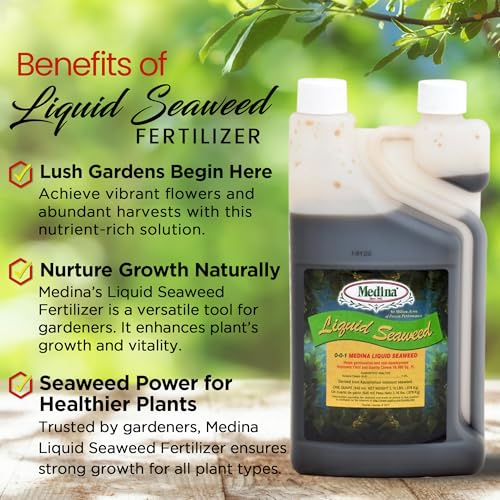 Medina Liquid Seaweed Fertilizer, 1 Gallon | For Plants, Concentrated, Lawn and Garden, Enhances Plant Growth and Soil Health, Ready to Spray, Covers 64000 Sq. Ft.