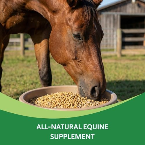 HEIRO Healthy Equine Nutritional Supplement for Horses, Herbal Blend with Magnesium and Vitamin E, Daily Metabolic Support Formula, Feed Powder, 90 Servings